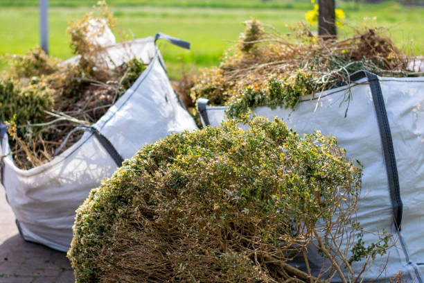 Best Same-Day Junk Removal  in Bethany, MO